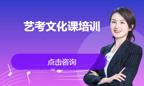 藝考文化課培訓(xùn)