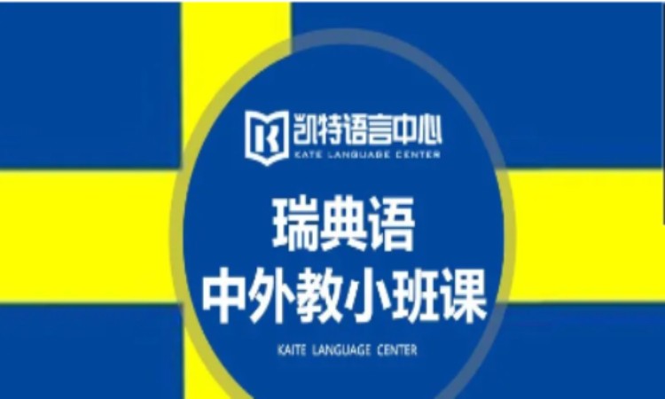 瑞典語中外教小班課