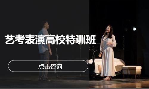 艺考表演高校特训班