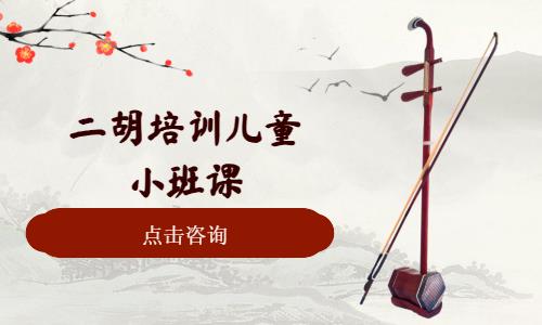 二胡培训儿童小班课