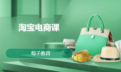 淘寶電商課