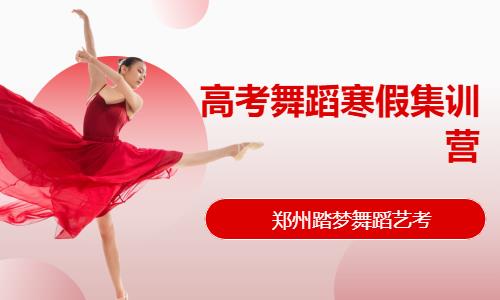 高考舞蹈寒假集训营