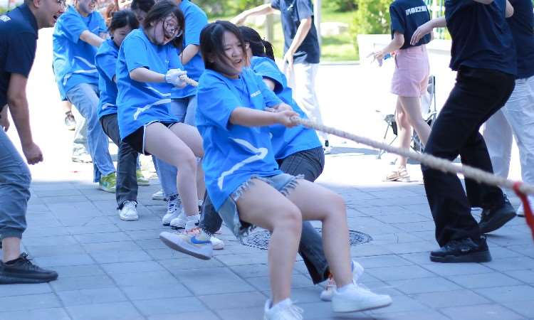 活动