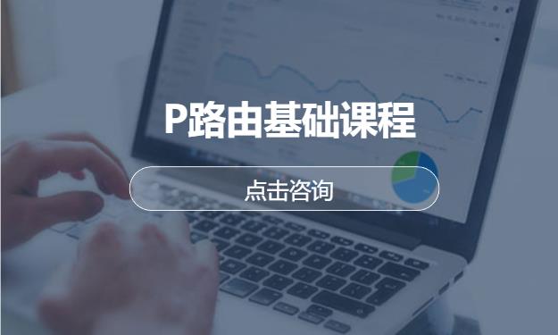 P路由基础课程