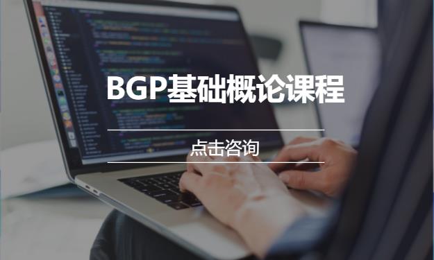 BGP基础概论课程