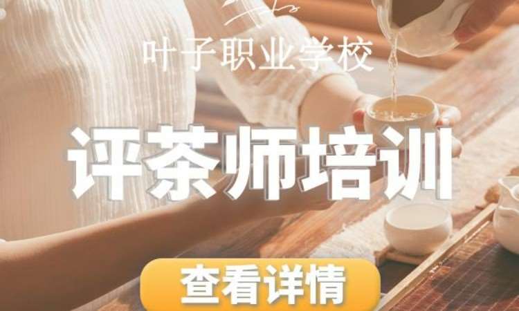 宁波茶艺师培训学校