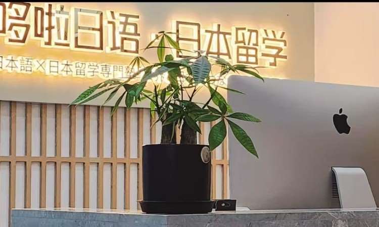 前台