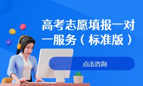 高考志愿填报一对一服务（标准版）
