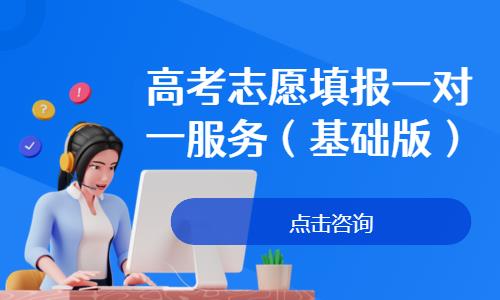 高考志愿填报一对一服务（基础版）