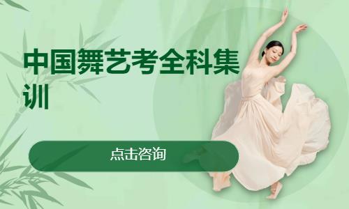 中国舞艺考全科集训