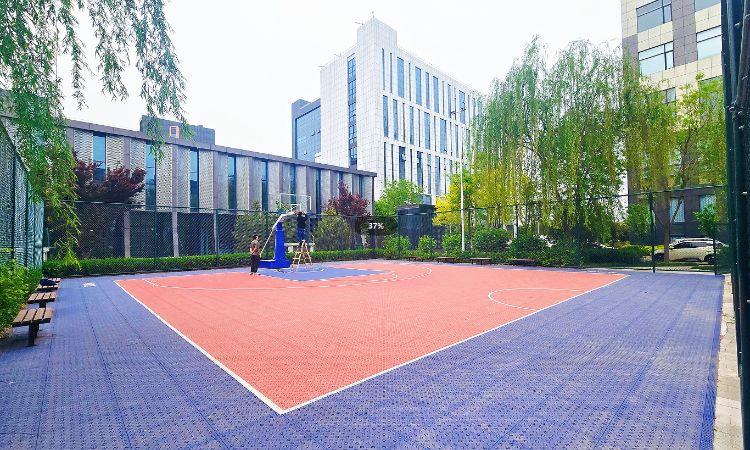 篮球场