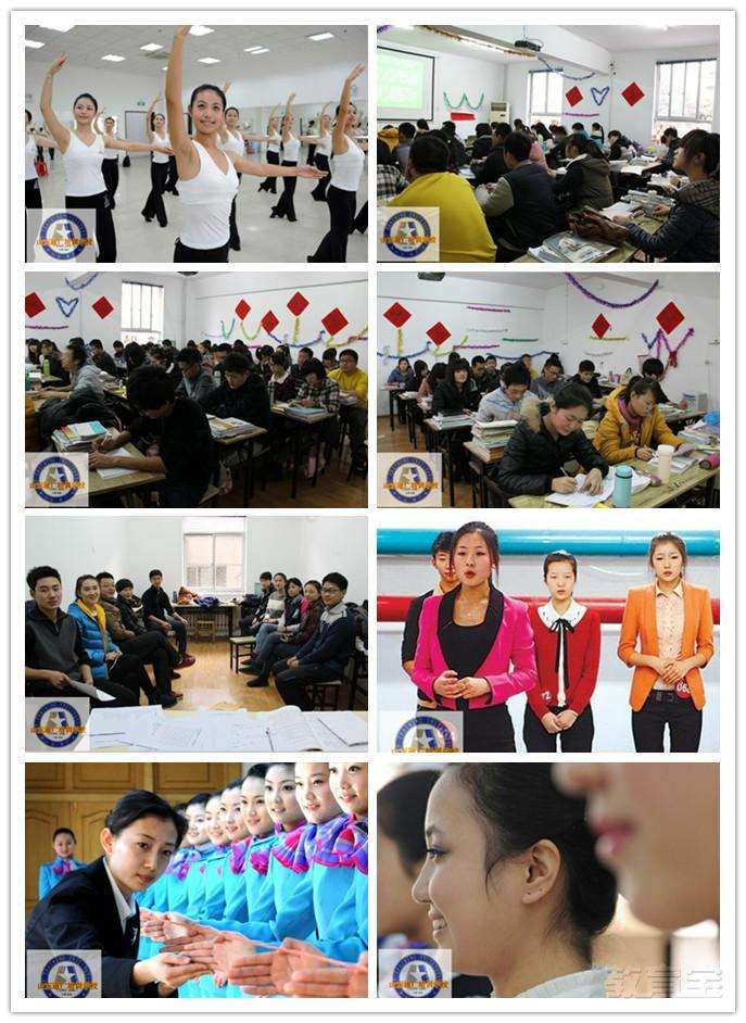 空乘专业_空乘专业的收入(2)