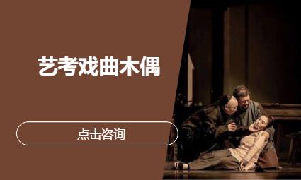 艺考戏曲木偶
