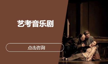 艺考音乐剧
