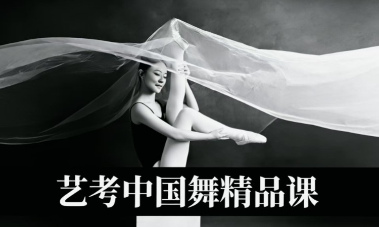 艺考中国舞专业精品课
