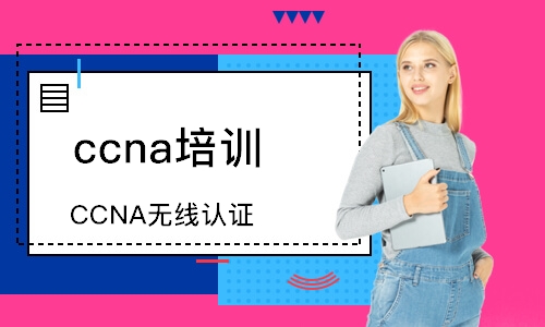 深圳ccna培训