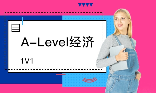 A-Level经济（1V1）