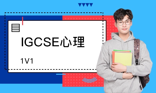 IGCSE心理（1V1）