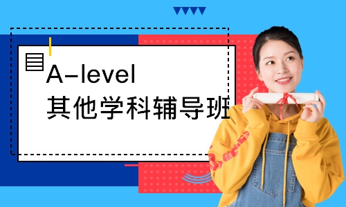 A-level其他辅导班