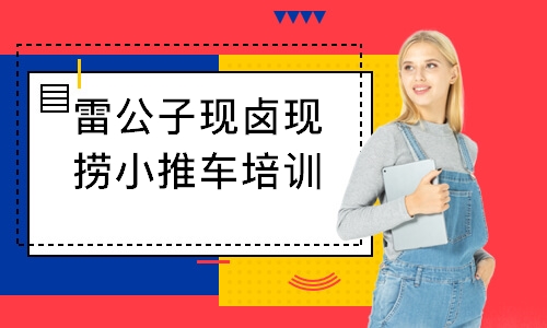雷公子现卤现捞小推车培训
