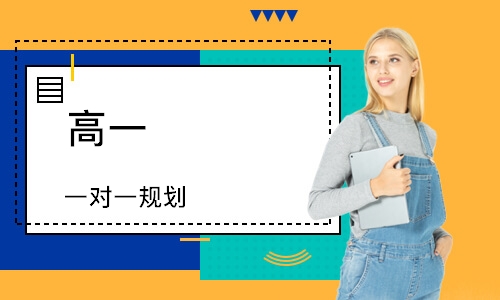 高一 一对一规划