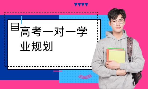高考一对一学业规划