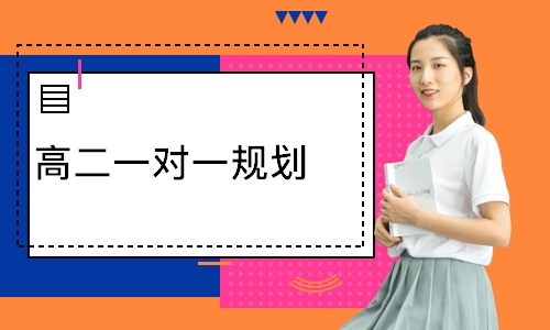高二一对一规划