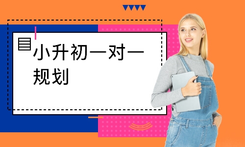 小升初一对一规划