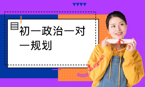 初一政治一对一规划
