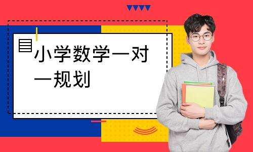 小学数学一对一规划