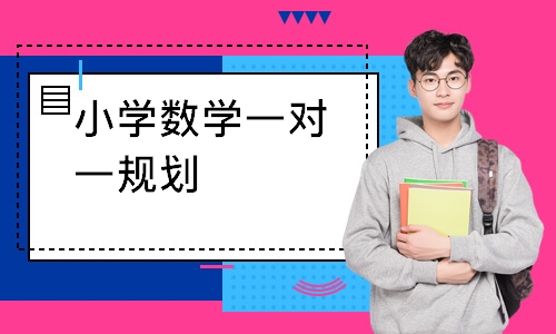 小学数学一对一规划