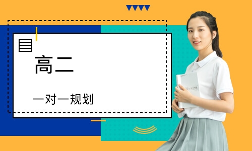 高二 一对一规划