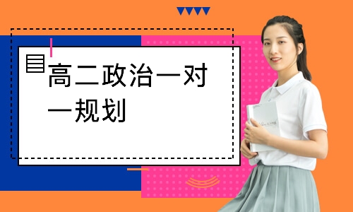 高二政治一对一规划