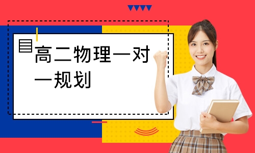 高二物理一对一规划