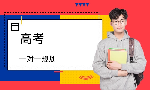 高考 一对一规划