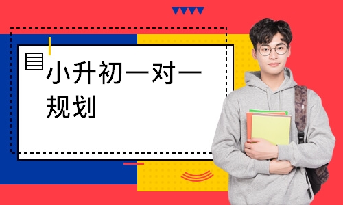 小升初一对一规划