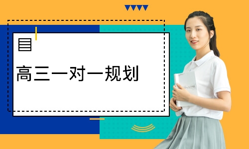 高三一对一规划