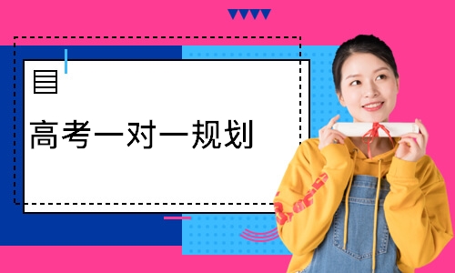 高考一对一规划