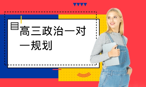 高三政治一对一规划