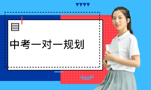 中考一对一规划