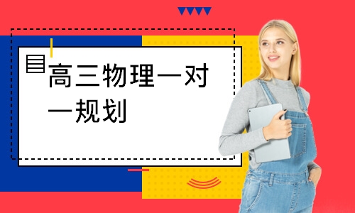 高三物理一对一规划
