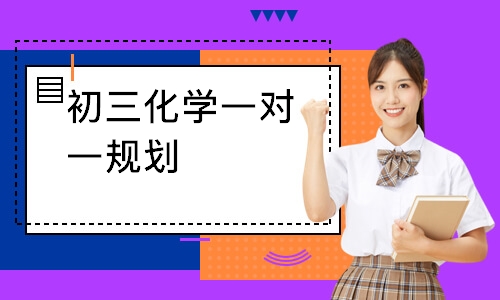 初三化学一对一规划
