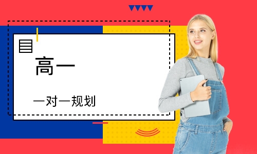 高一 一对一规划