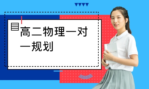 高二物理一对一规划