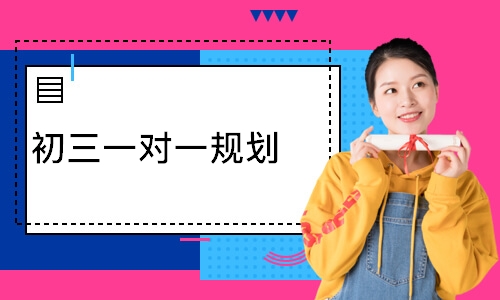 初三一对一规划