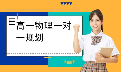 高一物理一对一规划