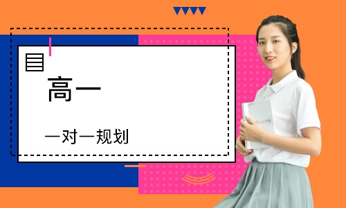 高一 一对一规划
