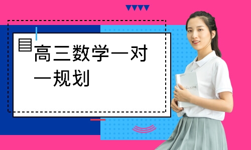 高三数学一对一规划