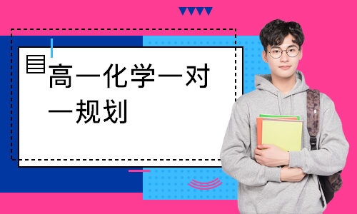 高一化学一对一规划
