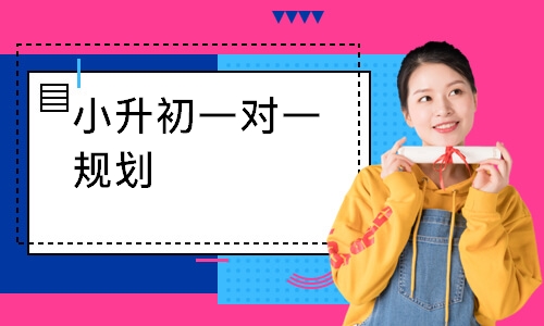 小升初一对一规划